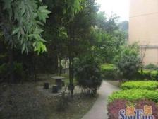 花园新村 商品房小区 环境好 配套设施齐 生活气息浓厚