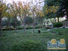 生安花苑3室2厅2卫南朝向1250.00万元/套出售