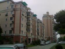 央区小高层 精装全明 电梯次顶楼 近校近商圈