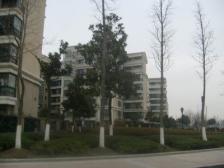 近地铁口,独特板房复试,7复8带阁楼,区总力推