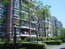 烟花观景房C位:大平层,清水房,户型全明,满五诚意