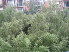 人和 金科天湖美镇二房190万