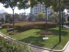 海琪园3室东朝向2080.00万元/套出售