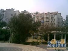 洋泾·中新家园·1室·1厅