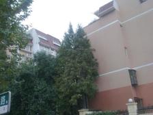 小区环境好内环内带书包