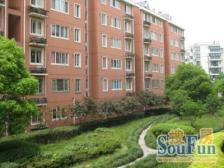 新上好房,店总力荐!高区采光好,高得房率!配套成熟