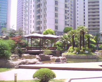 小区相关图