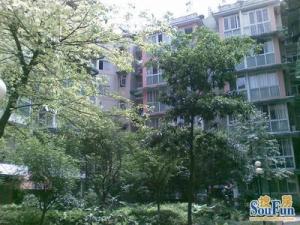 碧莲雅舍3室1厅西北