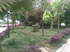 精装修,两面采光,装修2年领包入住