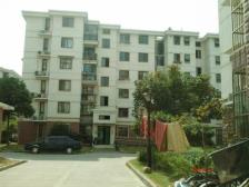 低楼层双南户型,6,12巨峰路双轨,诚意出售,有钥匙随时看房