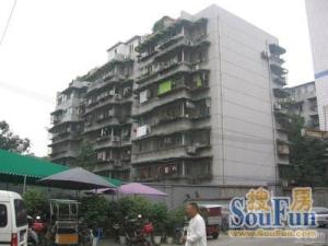 梧桐苑2室2厅西南东北