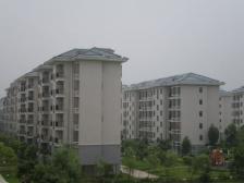 紫泉大两房 格局方正 视野好精装修