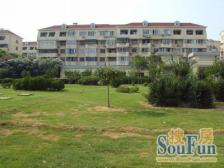 经典四室户型,动静分区合理,阳光满溢的理想家