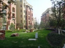 新上房源,看房方便,有大地下室和院子