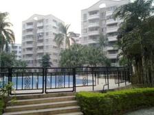 朝园景安静过五唯一随时可以看房