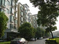 电梯朝南大一房,户型正气,看房随时,业主诚意卖