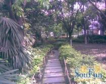 都市金岸 1室0厅 东南