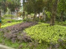 三层顶跃,有楼顶花园,视野全看湖,可拎包入住