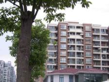 宝地新品居4室南朝向1599.00万元/套出售