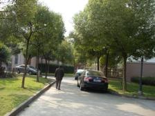 近地铁,入住快 中间楼层 通风好 新上房源