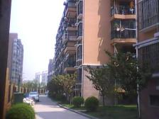 杨思前滩+明珠C+南北户型+视野开阔+采光充足