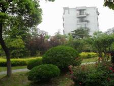 中间楼层 无抵押 现场实勘,热销好房