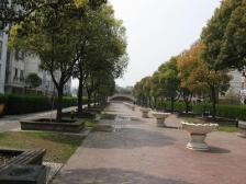 新上实拍 真实价格 网红楼盘 双轨交汇 南北通透