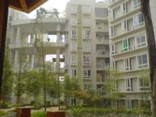 一碗水 金香林三房97.8万