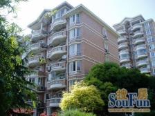 新上绿世界电梯高区!东苑品质,低调奢华!一览众山小!诚心出售