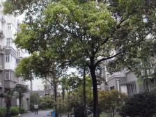 户型方正通透,采光好,13号线地铁400米,复式大四房