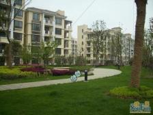 低密洋房电梯2房+南北双阳台+户型方正+业主诚售