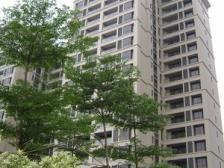 满五不唯一 无欠款 楼层好 采光通透。