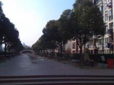 金桥·东陆新村五街坊·1室·1厅