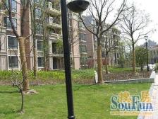 绿地金卫新家园(东区) 4室2厅 南 北