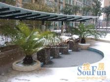 满五年税费少 诚意出售 两房改的三房