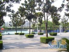 近地铁,无抵押 毛坯 产权清晰,新上房源