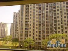 louwang位置大三房,这个价格必须冲