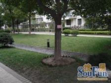 凉城 · 花园城(一期三期) · 3室 · 2厅