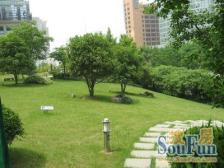 高区 江边圆弧窗 正看黄浦江 俯视整个外滩 视野开阔