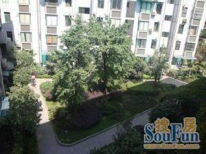 云湖阳光 1室0厅 南