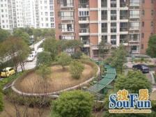 精装修小区安静的位置南北大一房看小区银杏树格局好