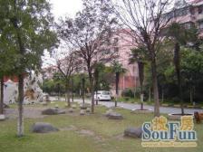 平吉二村莲花新城 1室1厅1卫 南