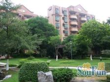 新世界花园,顶楼大复试,7米层高