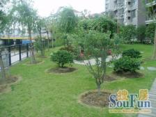 汇京佳丽园3室2厅南北