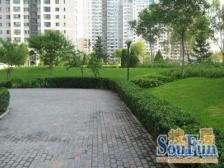 满五,高区可看黄浦江,04年品质小区