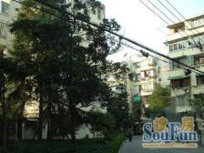 曲阳·大**区·3室·1厅