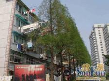 北向一门关,自如精装,自住出租都可