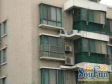 大三房 黄浦江边 单价低三代同堂