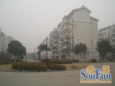 狮山,新区公园对面,新狮新苑顶楼复式,小区中间位置