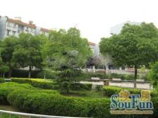 这是一套小区环境嘎嘎好的商品房且楼层好